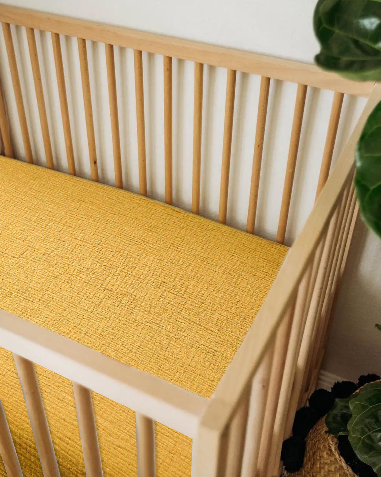 color_ Mustard Yellow