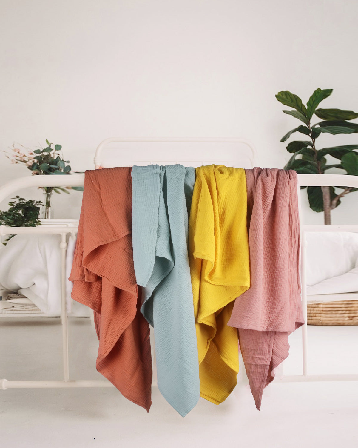 color_Mustard Yellow